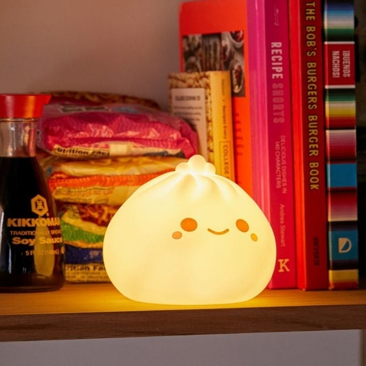 the dumpling lamp