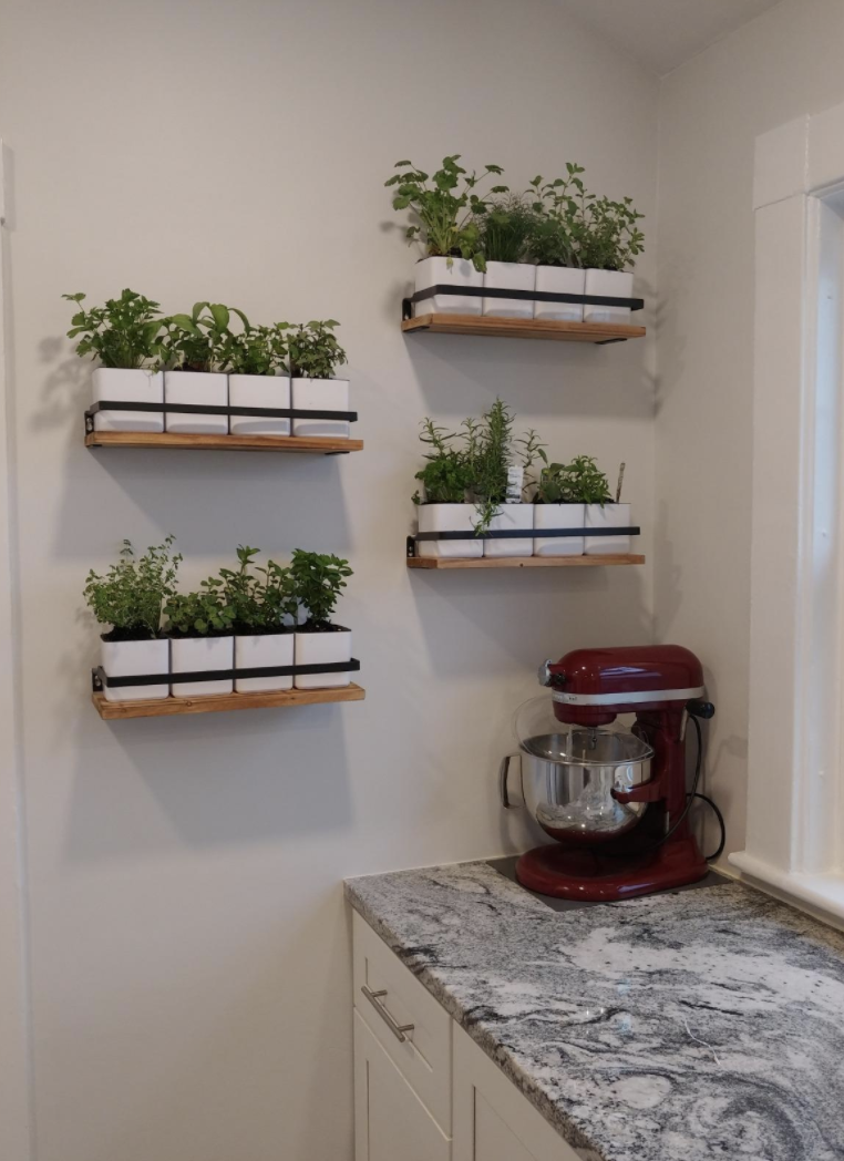 Floating shelves used to hold house plants 