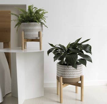 Ceramic plant pot and wood stand