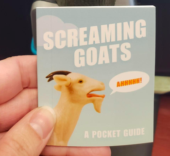 reviewer holding the book that comes with the goat
