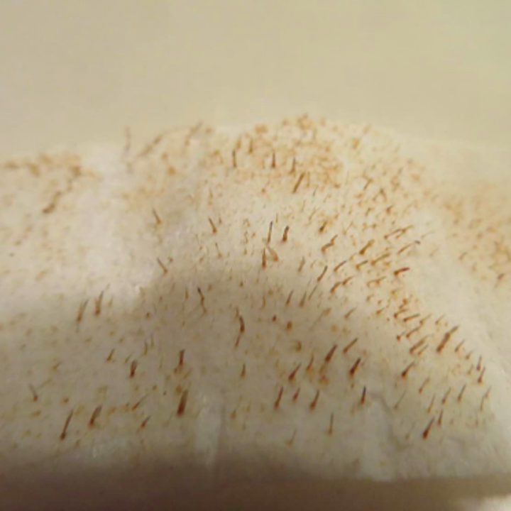 Closeup of reviewer's pore strip covered in gunk removed from face 
