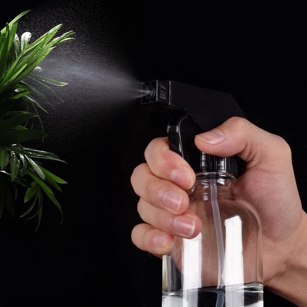 person spraying a plant with the spray bottle
