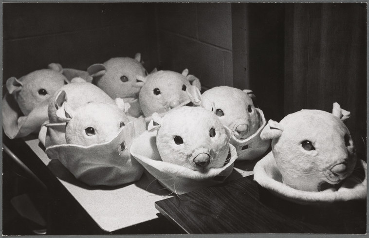 Mouse head costumes arranged on a table