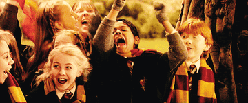 The Gryffindors cheer as they watch a Quidditch match