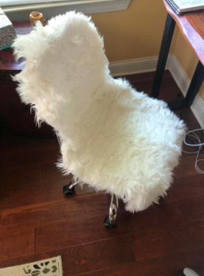 faux fur rug on a rolling office chair