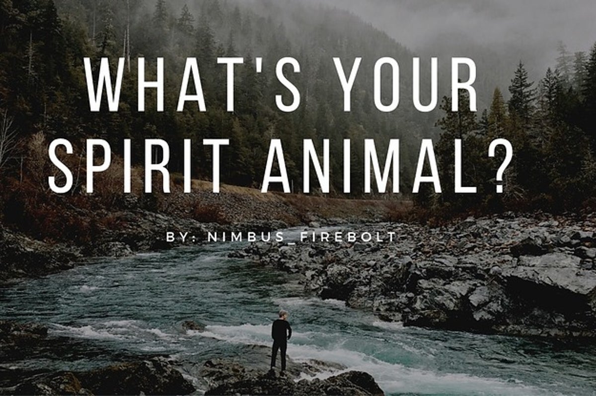 whats-your-spirit-animal-2-5521-1608538291-13_dblbig.jpg?resize=1200:*