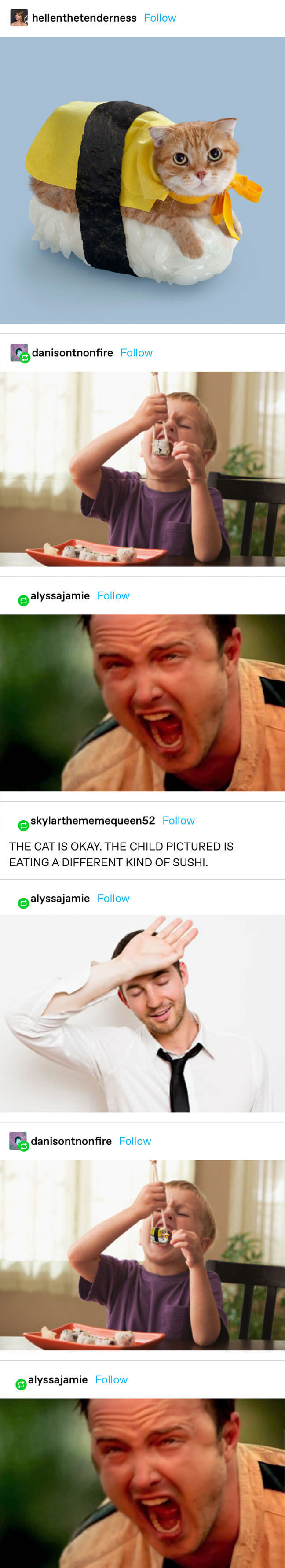 a cat on sushi is pictured, then a kid eating sushi. There&#x27;s a screaming meme but then the person is assured it&#x27;s a different sushi. Someone photoshops the original sushi with the cat in the picture and there&#x27;s another screaming meme