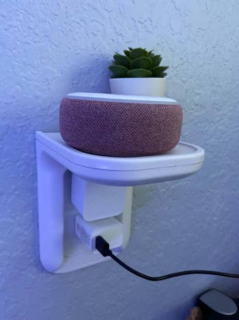 Reviewer using wall shelf to hold plant and electronic device