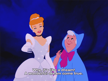 a gif of cinderella twirling saying &quot;why, it&#x27;s like a dream! a wonderful dream come true&quot;