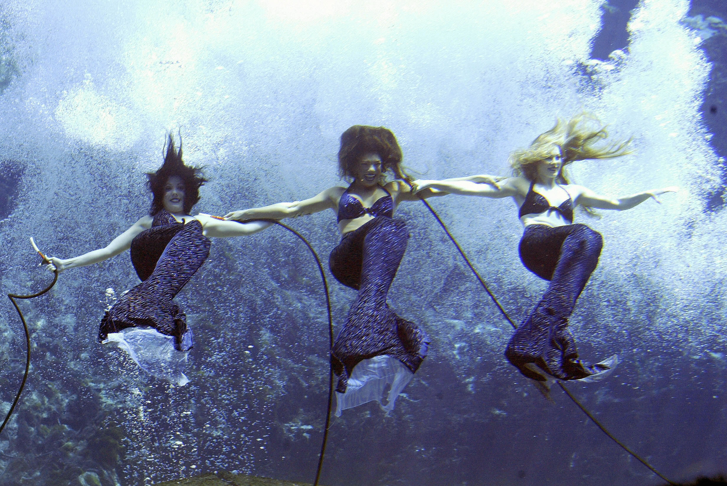 Three mermaids underwater