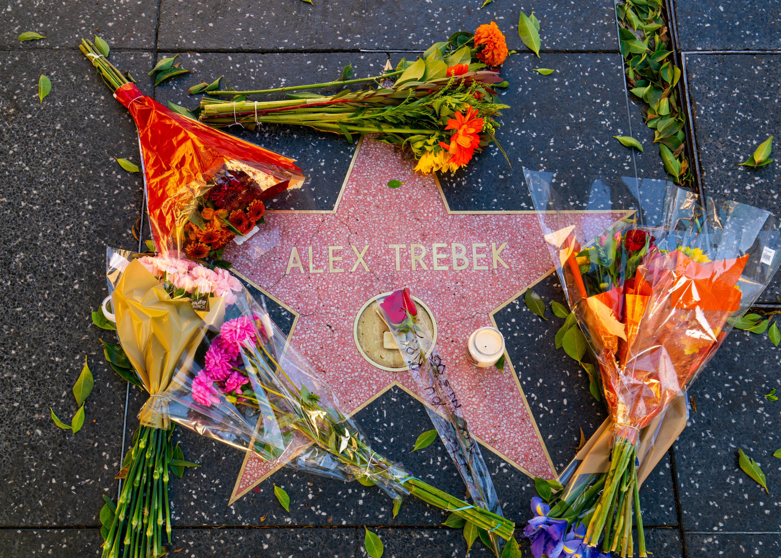 Flowers surround Alex Trebek&#x27;s star on the Walk of Fame after the announcement of his death 