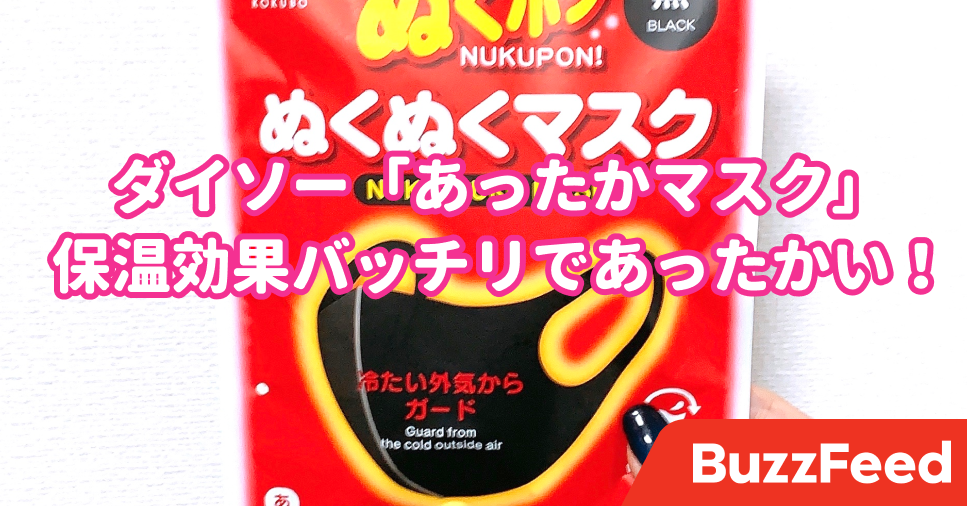もう普通のマスクには戻れないな ダイソーで見つけた 冬用マスク ぬっくぬくであったかい