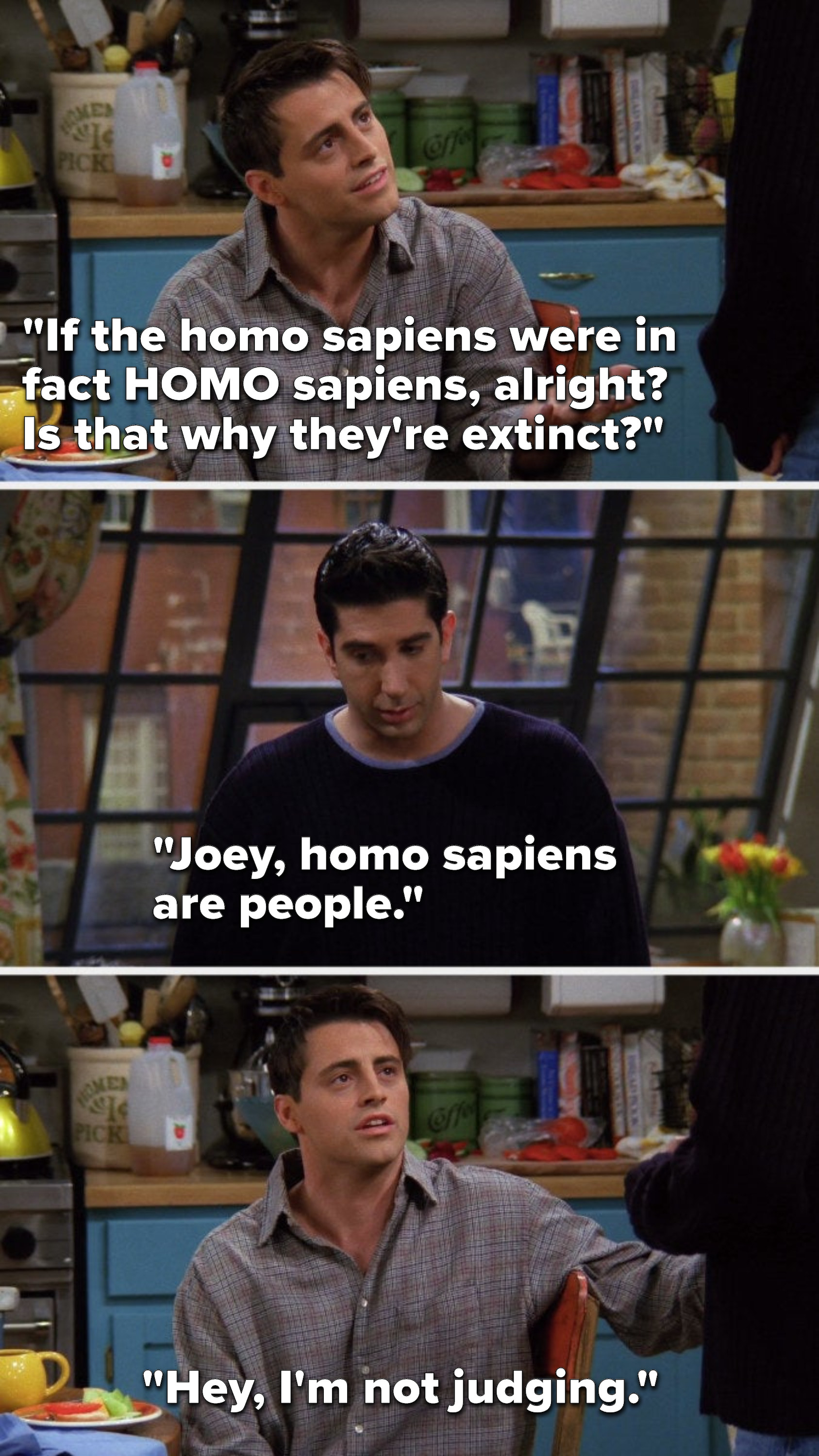 Joey says, &quot;If the homo sapiens were in fact HOMO sapiens, alright, is that why they&#x27;re extinct,&quot; Ross says, Joey, homo sapiens are people,&quot; and Joey says, &quot;Hey, I&#x27;m not judging&quot;