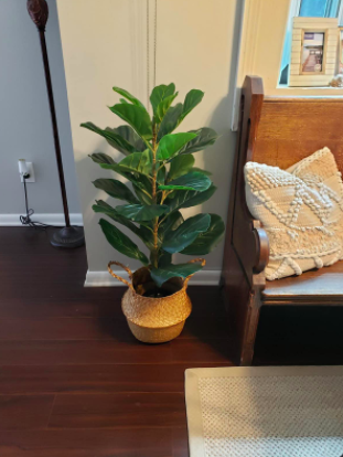 faux fiddle leaf fig houseplant in a basket