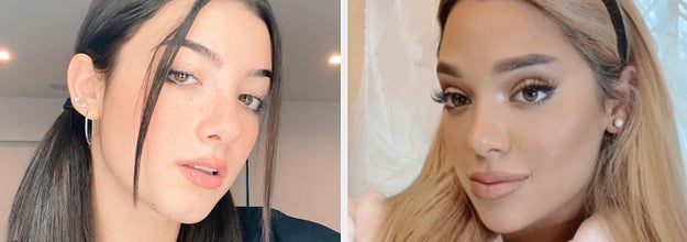 Selfies of Charli D'Amelio and Gabi DeMartino