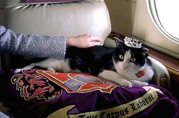 17 Fictional Cats Whose Noses I Want To Boop Above All Else