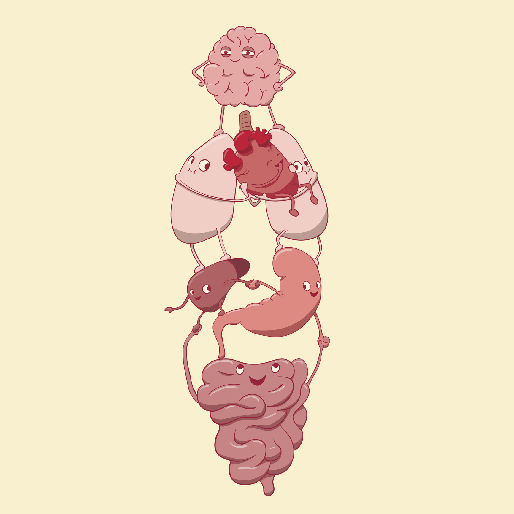 Animated gut holding up other organs. 