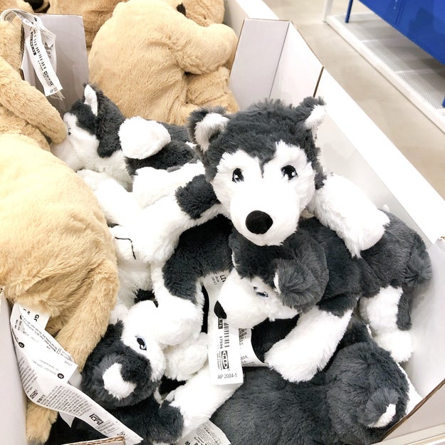 思わず足を止めちゃった Ikeaで出会った 子犬のぬいぐるみ が可愛すぎる Buzzfeed Japan Ikea で買い物中 あるところで足を止めてし ｄメニューニュース Nttドコモ