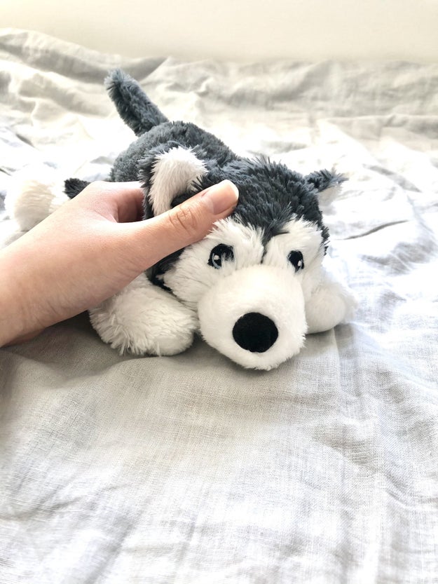 ペット欲が満たされた Ikeaの 子犬ぬいぐるみ 499円で買えちゃっていいの Buzzfeed Japan Ikea で買い物中 あるところで足を止めてし dメニューニュース Nttドコモ ペット欲が満たされた Ikeaの 子犬ぬいぐるみ 499円で買えちゃっていいの Buzzfeed Japan Ikea で買い物中 あるところで足を止めてし dメニューニュース Nttドコモ