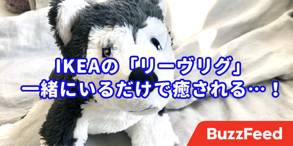 思わず足を止めちゃった Ikeaで出会った 子犬のぬいぐるみ が可愛すぎる