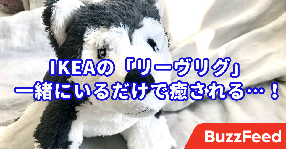 思わず足を止めちゃった Ikeaで出会った 子犬のぬいぐるみ が可愛すぎる