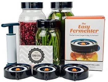 the fermentation lid kit