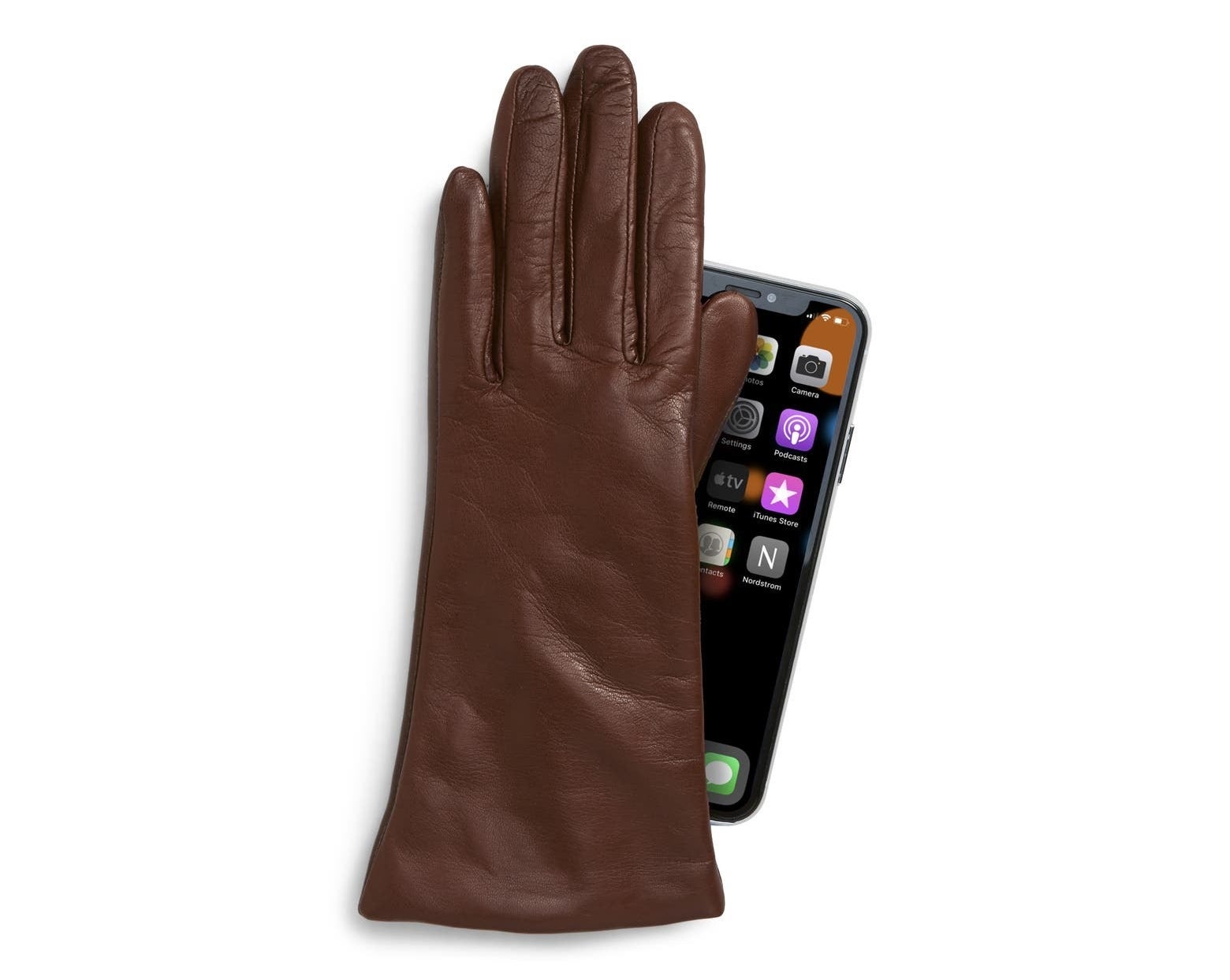 The brown leather gloves