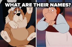 what are their names? dog from peter pan and worker from the little mermaid