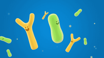 Animation of happy bacteria floating.