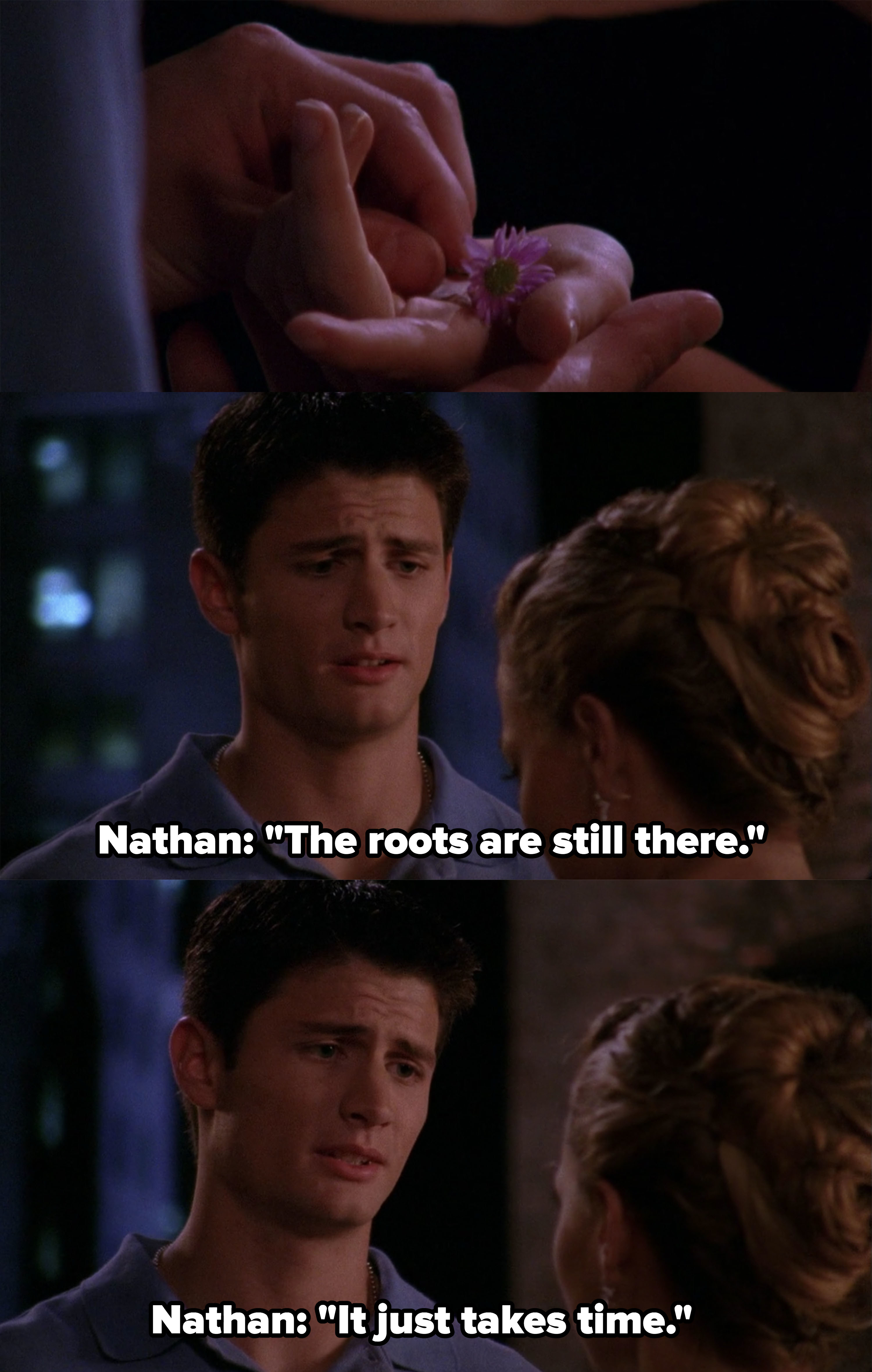 Nathan hands Haley a flower and says the roots are still there, it just takes time