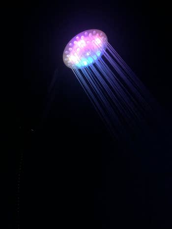 LED showerhead with purple light in bathroom that's completely dark
