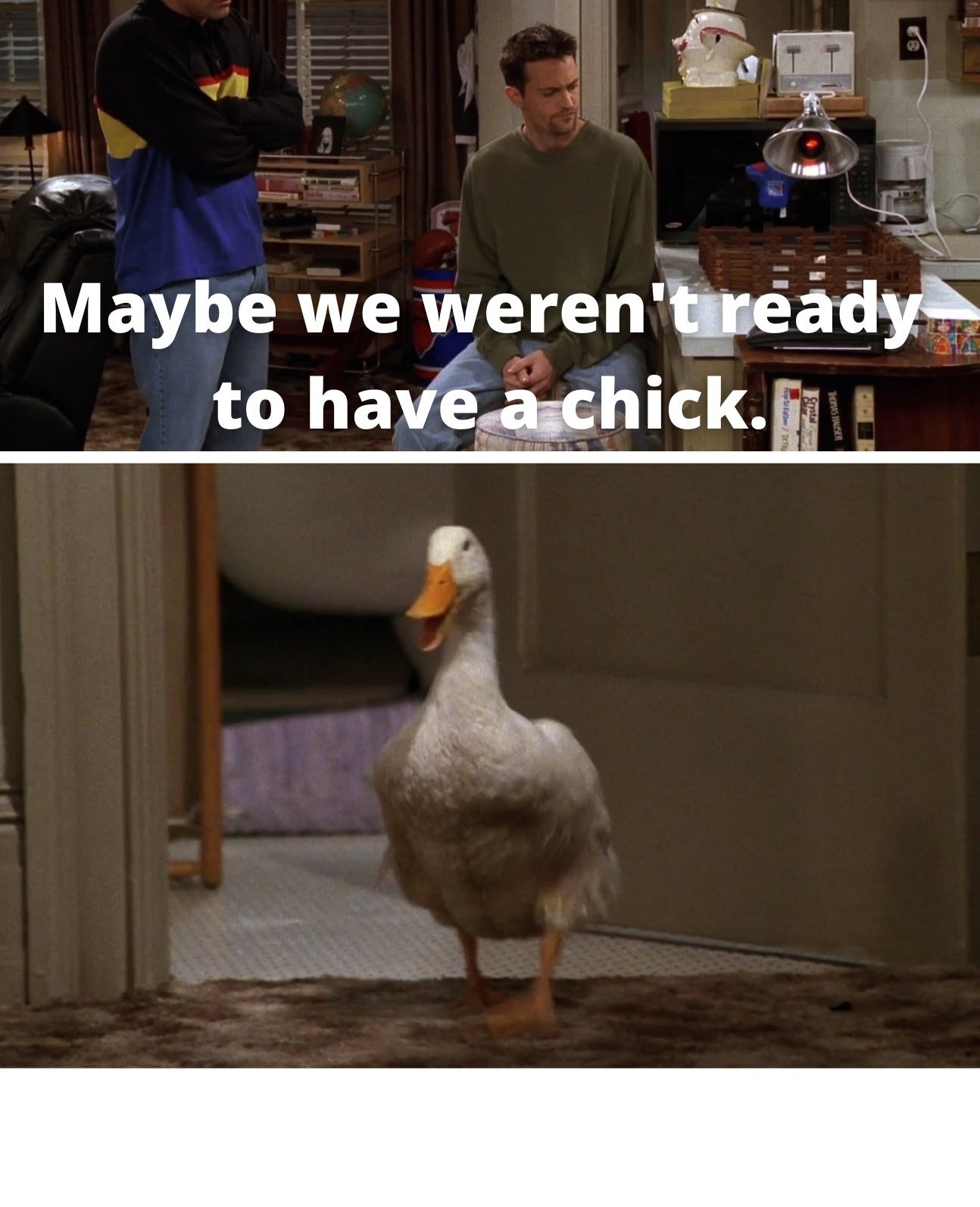 Chandler telling Joey &quot;Maybe we weren&#x27;t ready to have a chick&quot; and a duck walking out of the bathroom