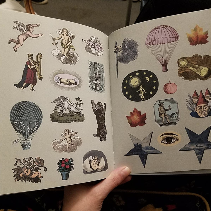 reviewer photo of the pages inside the book 