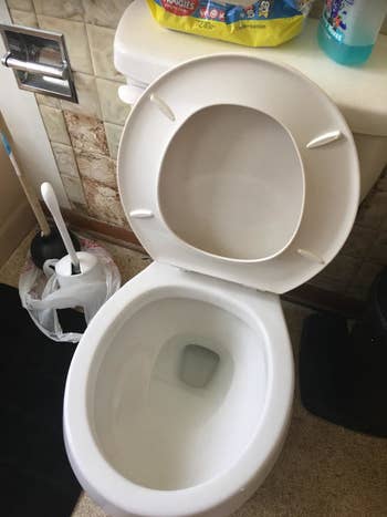 Reviewer's same toilet all clean after using a pumice stone