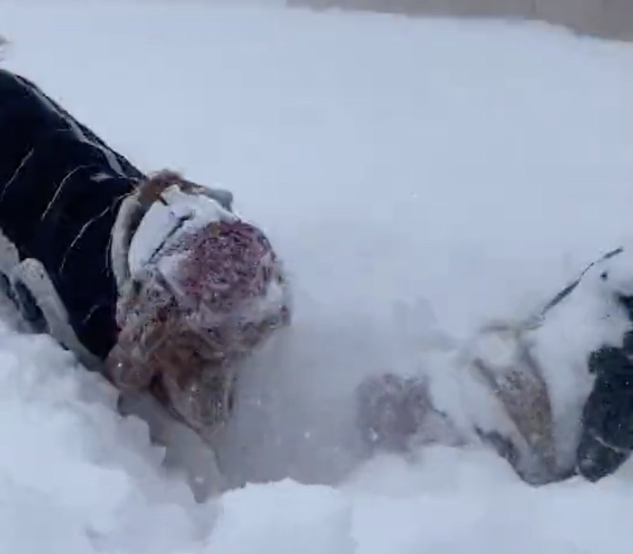 Two dogs wearing knitted hats dig in the snow