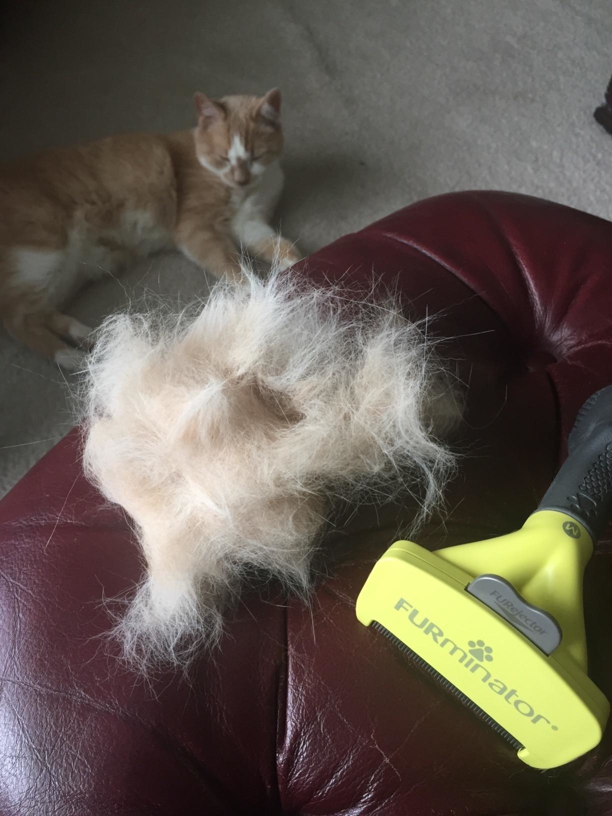 A huge pile of fur next to the brush