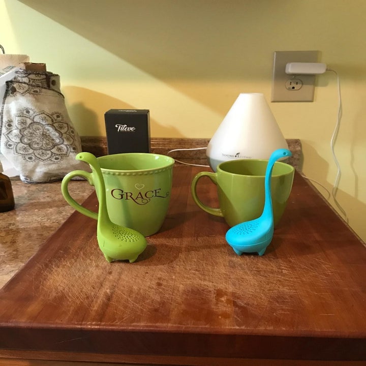 reviewer image of the pair of tilevo dinosaur tea infusers