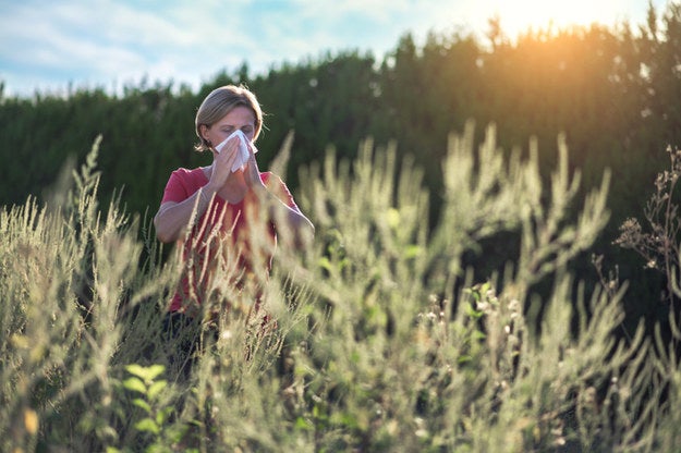 A woman sneezing in a field