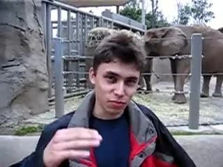 A guy in front of an elephant cage at a zoo