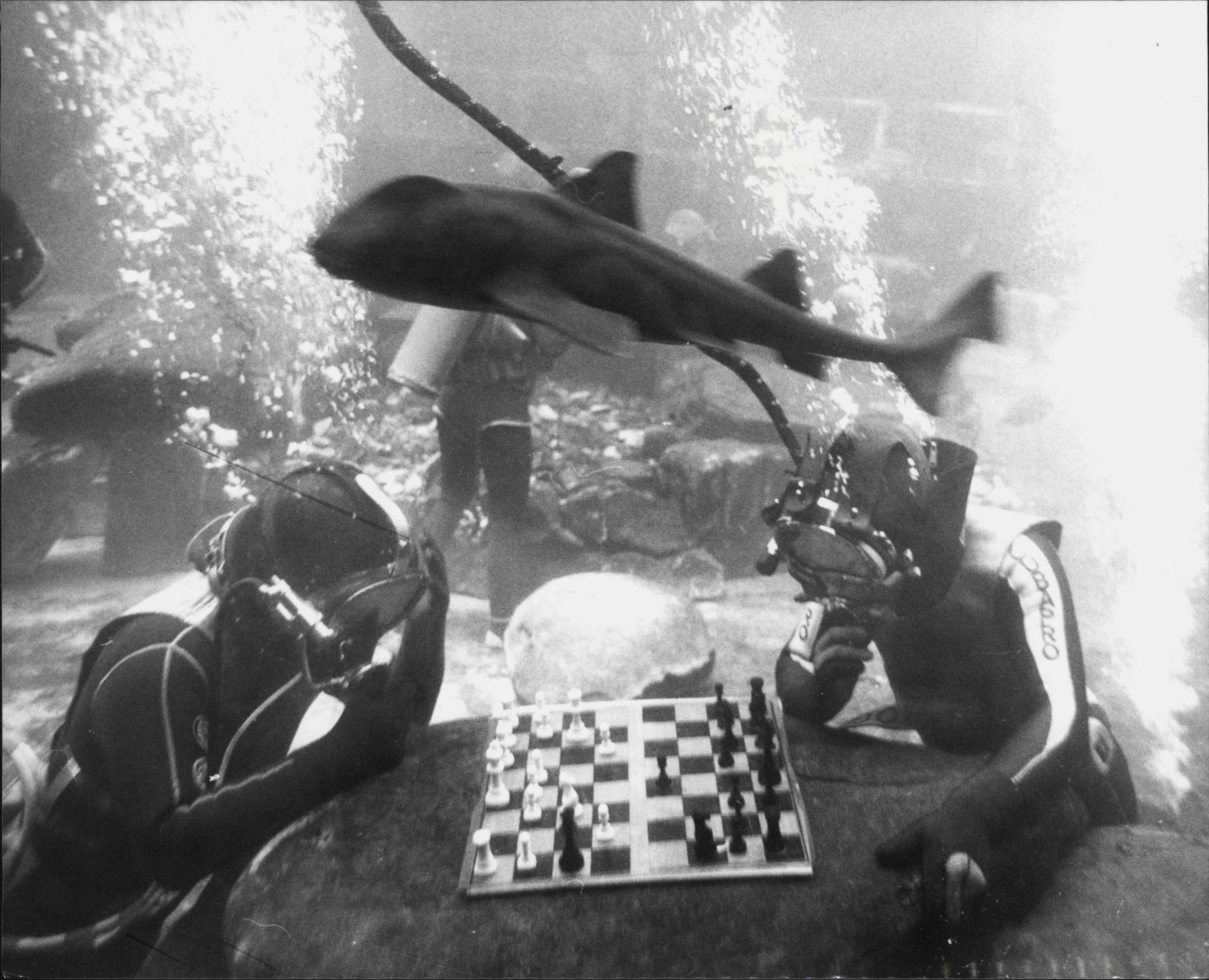 Two men in scuba suits play chess underwater as a big fish swims over their heads