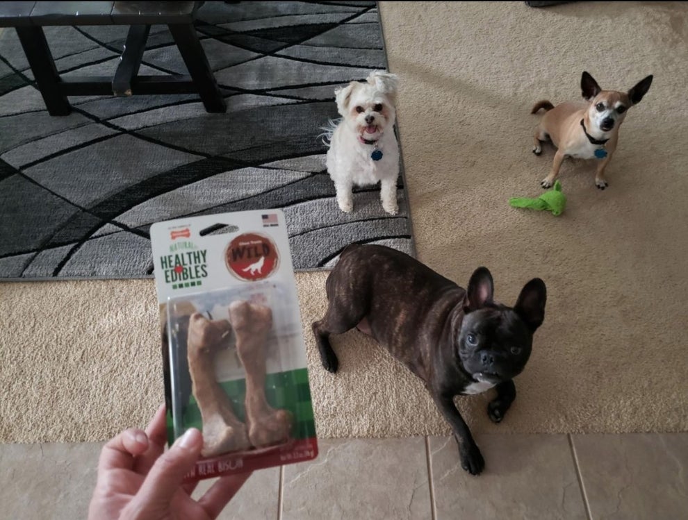 20 Amazon Pet Food Subscriptions To Try