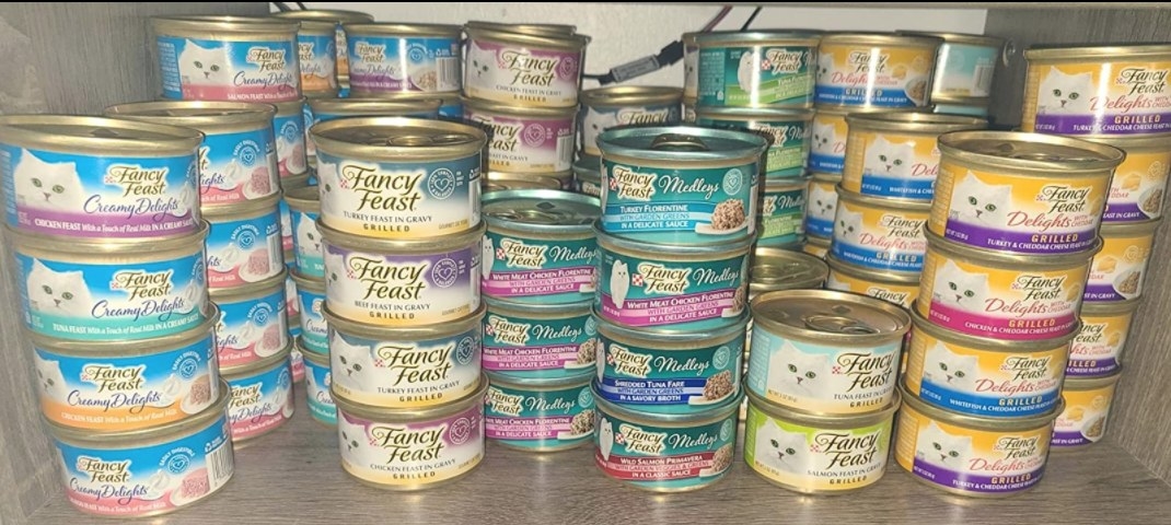 A reviewer&#x27;s collection of cat food
