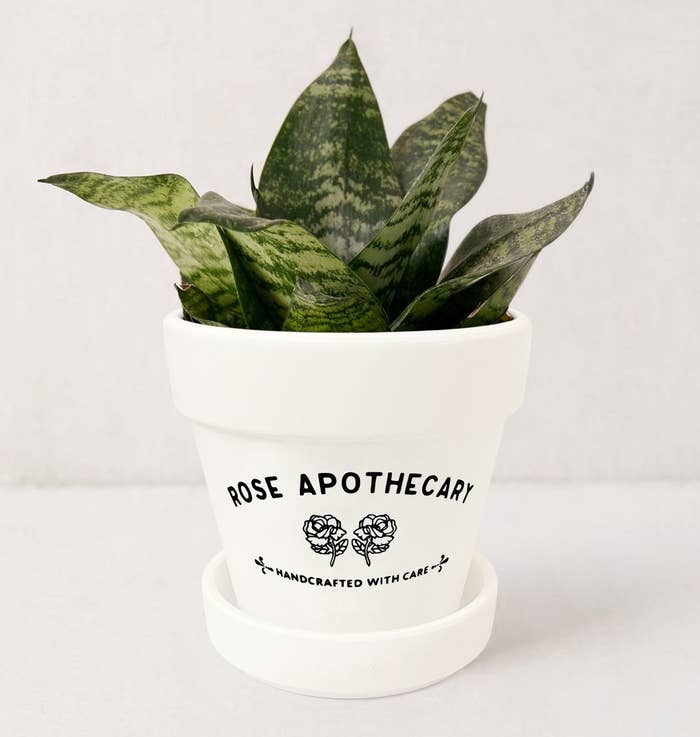 A planter that says Rose Apothecary, Handcrafted with Care