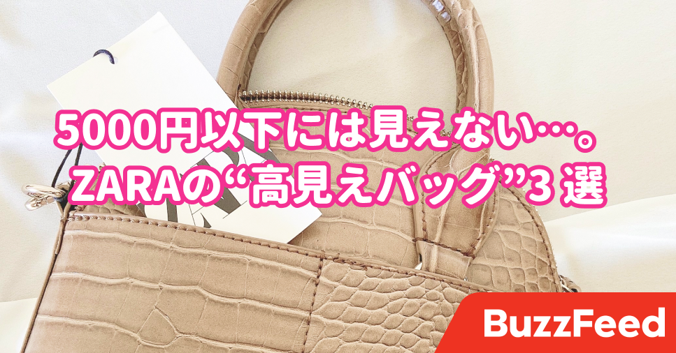 自慢したくなるかわいさ Zaraの デザインバッグ 高見えするのに5000円以下で買えます