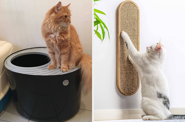 25 Problem-Solving Products From Amazon For Cat Owners