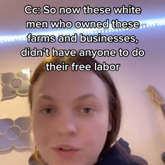 Screenshot from TikTok saying how white men owned farms and businesses with no one to do their free labor.