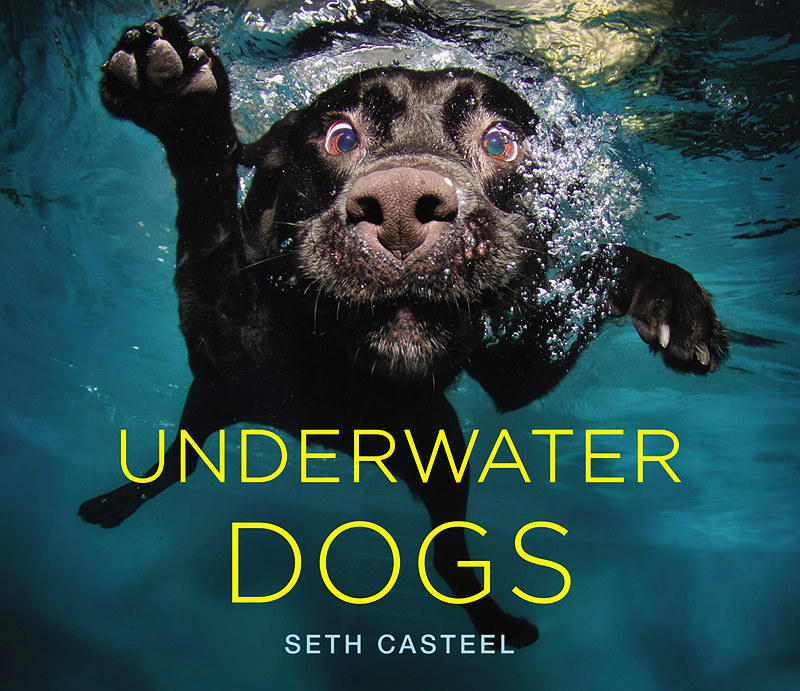 cover of Underwater Dogs