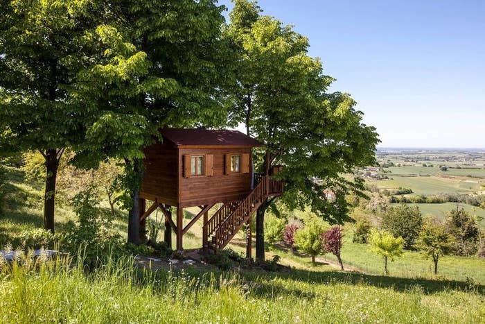 A wooden hut on stilts built next to trees on a hill overlooking farmland