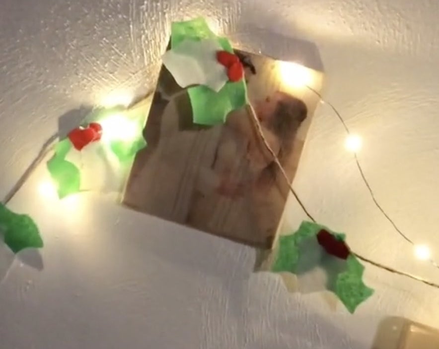 Green felt garland hanging with lights on a wall