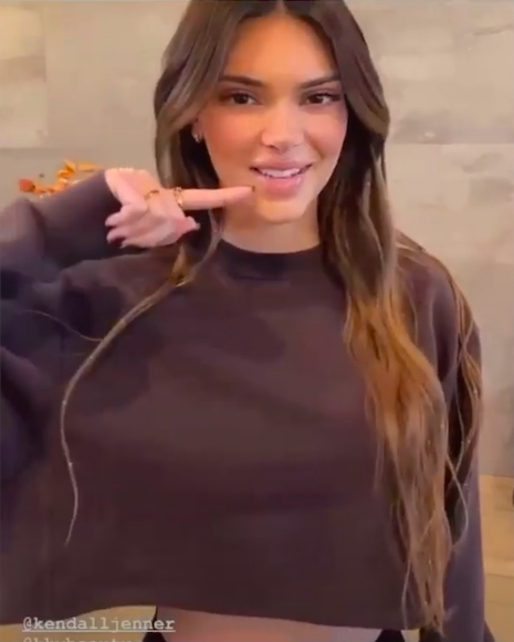 Kendall Jenner Wore Head-To-Toe Kardashian-Jenner Products In Hilarious  Instagram Video